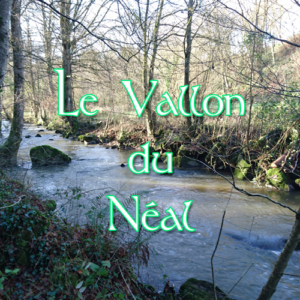 vallon-neal